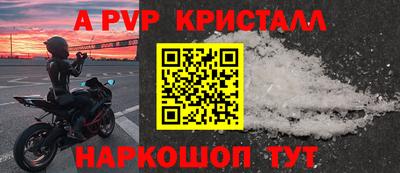 эйфоретик Тара