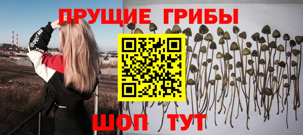 Псилоцибиновые грибы MAGIC MUSHROOMS Муром