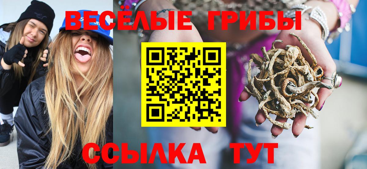 Муром  Псилоцибиновые грибы MAGIC MUSHROOMS  Вход с VPN 
